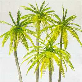 Preiser 18600 HO Palm Trees (4) (Kit)