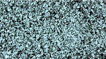 Scenic Express 6222 All Scale SuperLeaf Scale Model Leaf Flake 16oz Shaker -- Eucalyptus